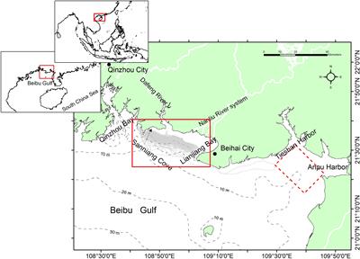 Low Survivals and Rapid Demographic Decline of a Threatened Estuarine Delphinid